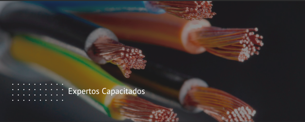 BANNER FERRELECTRICOS